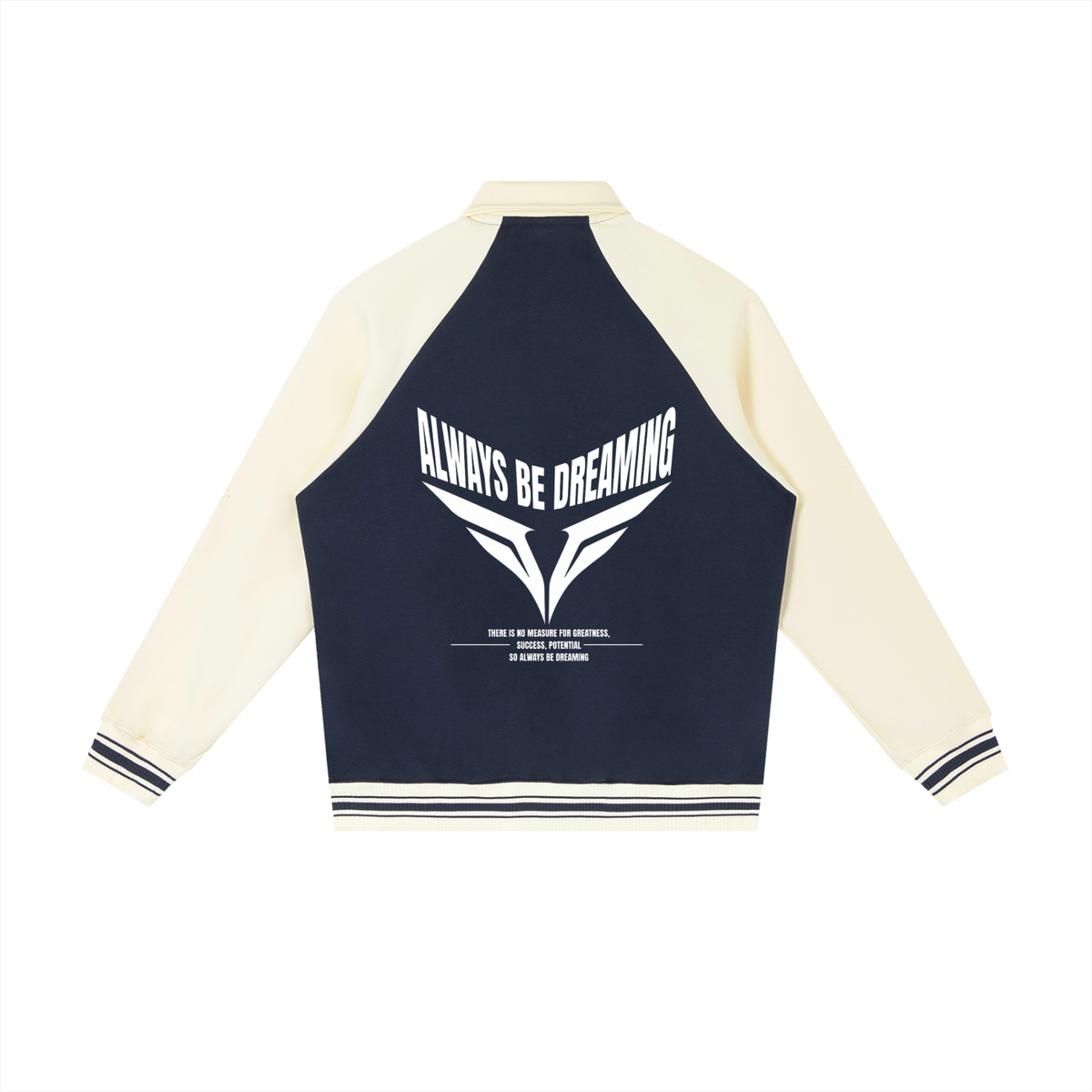 A Dreamer's Baseball Jacket
